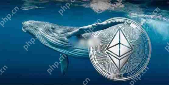 以太坊巨鲸在1800美元做空失利解读！市场关注联准会鲍威尔公布利率